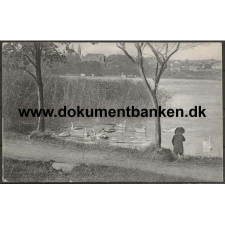 Nrre Sen Viborg Jylland Postkort