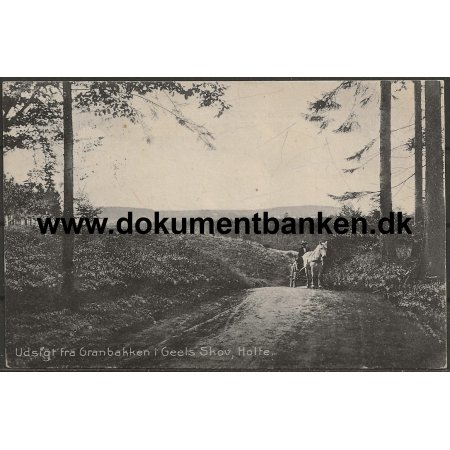 Granbakken Gels skov Holte Sjlland Postkort