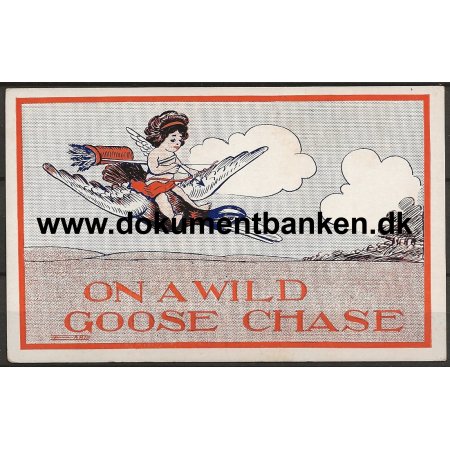 On A Wild Goose Chase USA Postkort