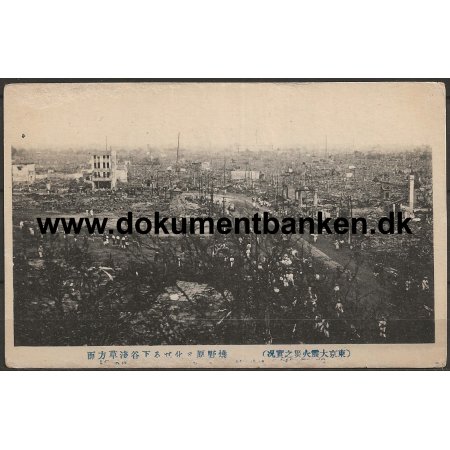 Looking Over Asakusa And Shitaya from Ueno Park The great earthquake Tokyo Japan Postkort