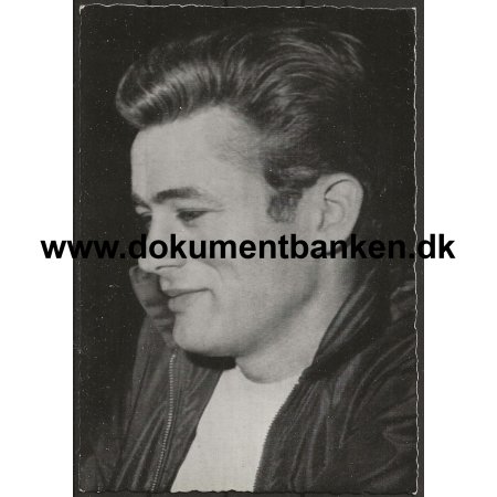 James Dean Skuespiller USA Postkort