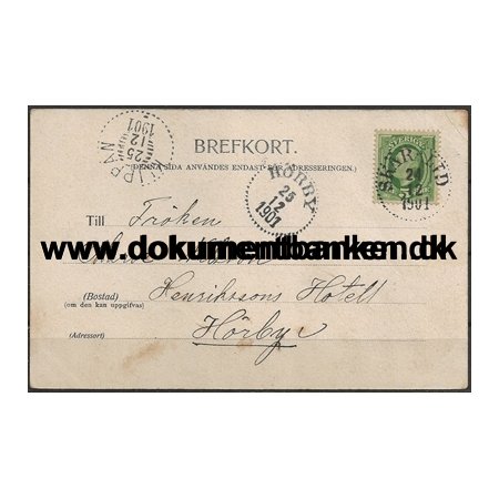 Skralid Svensk Bystempel 1901