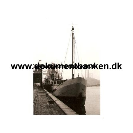 Skib Dyrns i Sydhavn