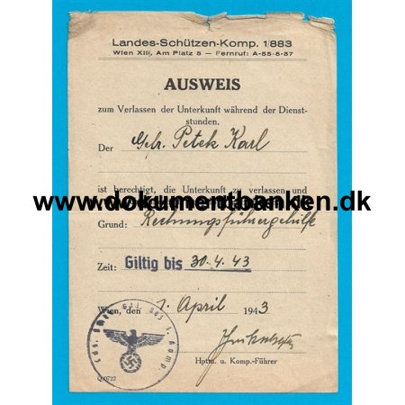 Ausweis, Tyskland, Dokument