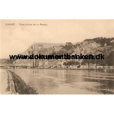 Dinant. Rive droite de la Meuse. Carte Postale