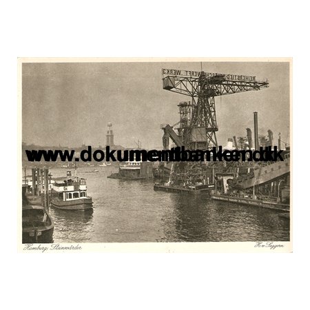 Hamburg, Steinvrder. Post karte. 1931