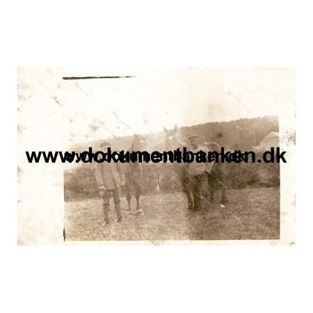 Tysk Feldpost, Pferdedepot. Fotopostkort