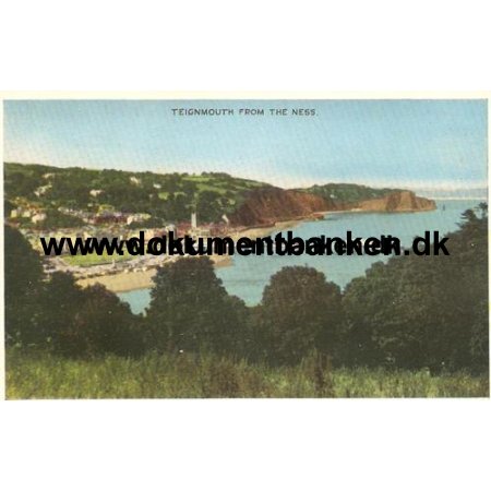 Teignmouth from the Ness, Post Card