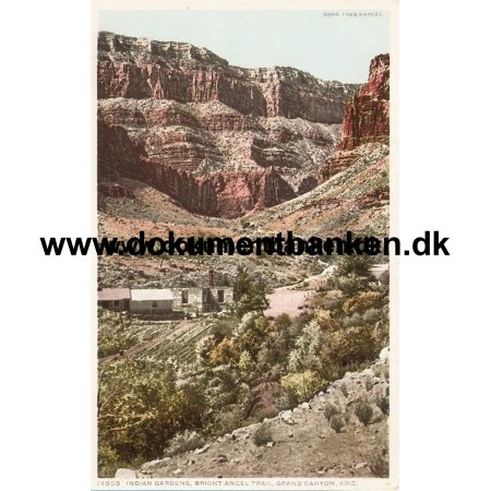  Bright Angel Trail, Indian Gardens, Grand Canyon, Arizona, Post Card