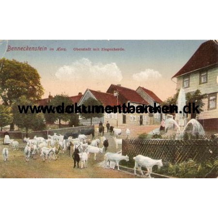 Benneckenstein, Oberstadt mit Ziegenherde, Postkarte