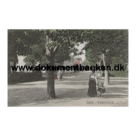 Gadeparti, Ved Torvet, Hrsholm, Postkort
