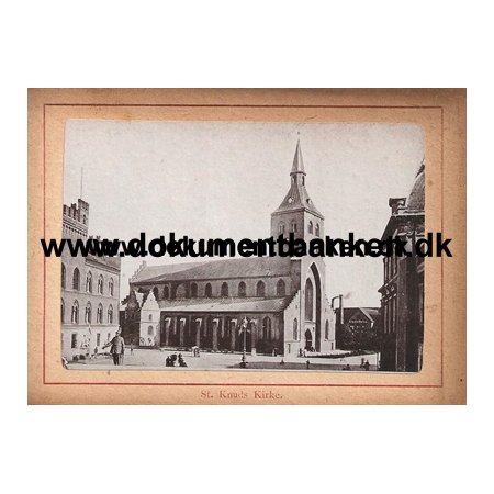 Odense, St. Knuds Kirke, Prospektkort, 1895