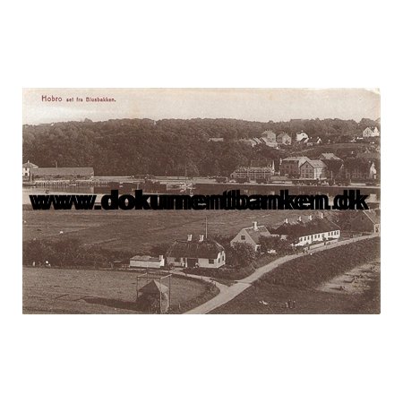 Hobro set fra Blusbakken, Hobro, Jylland, Postkort