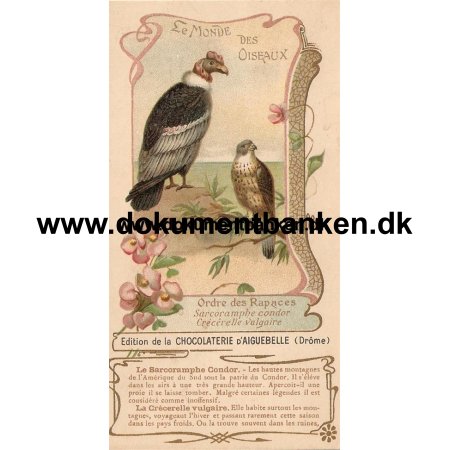 Le Monde Des Oiseaux (Fuglenes Verden) Chokolade Reklame Carte Postale