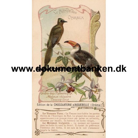 Le Monde Des Oiseaux (Fuglenes Verden) Chokolade Reklame Carte Postale
