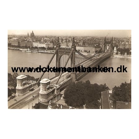 Budapest. Elisabeth Bridge. Carte Postale