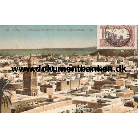 Tunis, Panorama et le Fort de Sidi-Ben-Hassan, Postkort, 1922