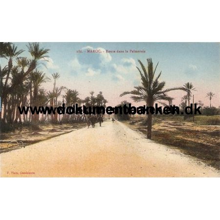 Maroc, Dans la Palmeraie, Postkort