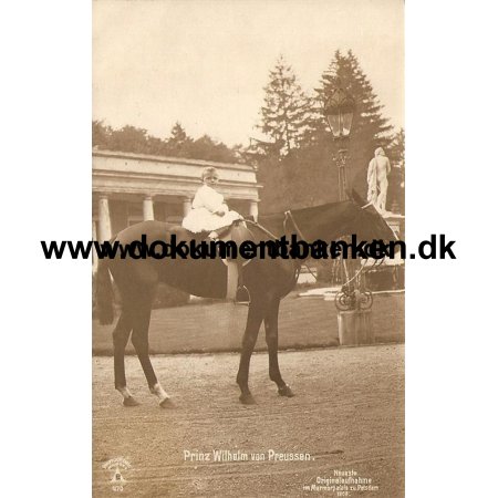 Prinz Wilhelm af Preussen til Hest, Postkort,1908