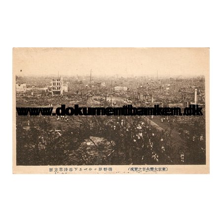 Looking Over Asakusa And Shitaya from Ueno Park. The great earthquake Tokyo 1 september 1923