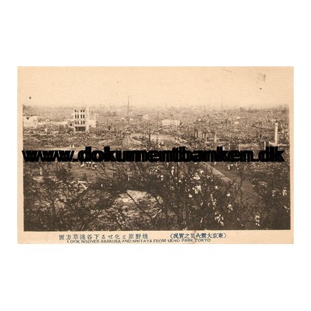 Looking Over Asakusa And Shitaya from Ueno Park. The great earthquake Tokyo 1 september 1923
