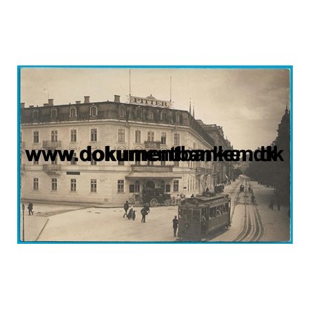 Hotel Pitter Salzburg strig Postkort