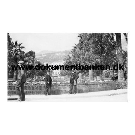 03. Monte Carlo, Les Jardins Boulingrin, Monaco, Foto 1903