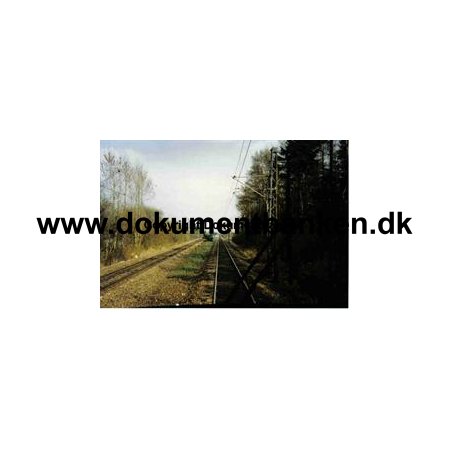 S-tog Skovlunde, p vej mod fra Ballerup 1997