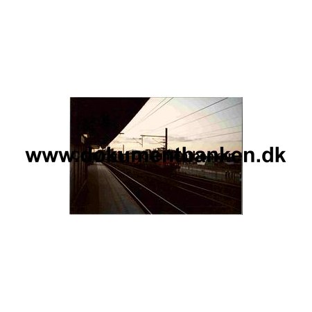 Kystbanetog ved Nordhavn - Aftenbillede